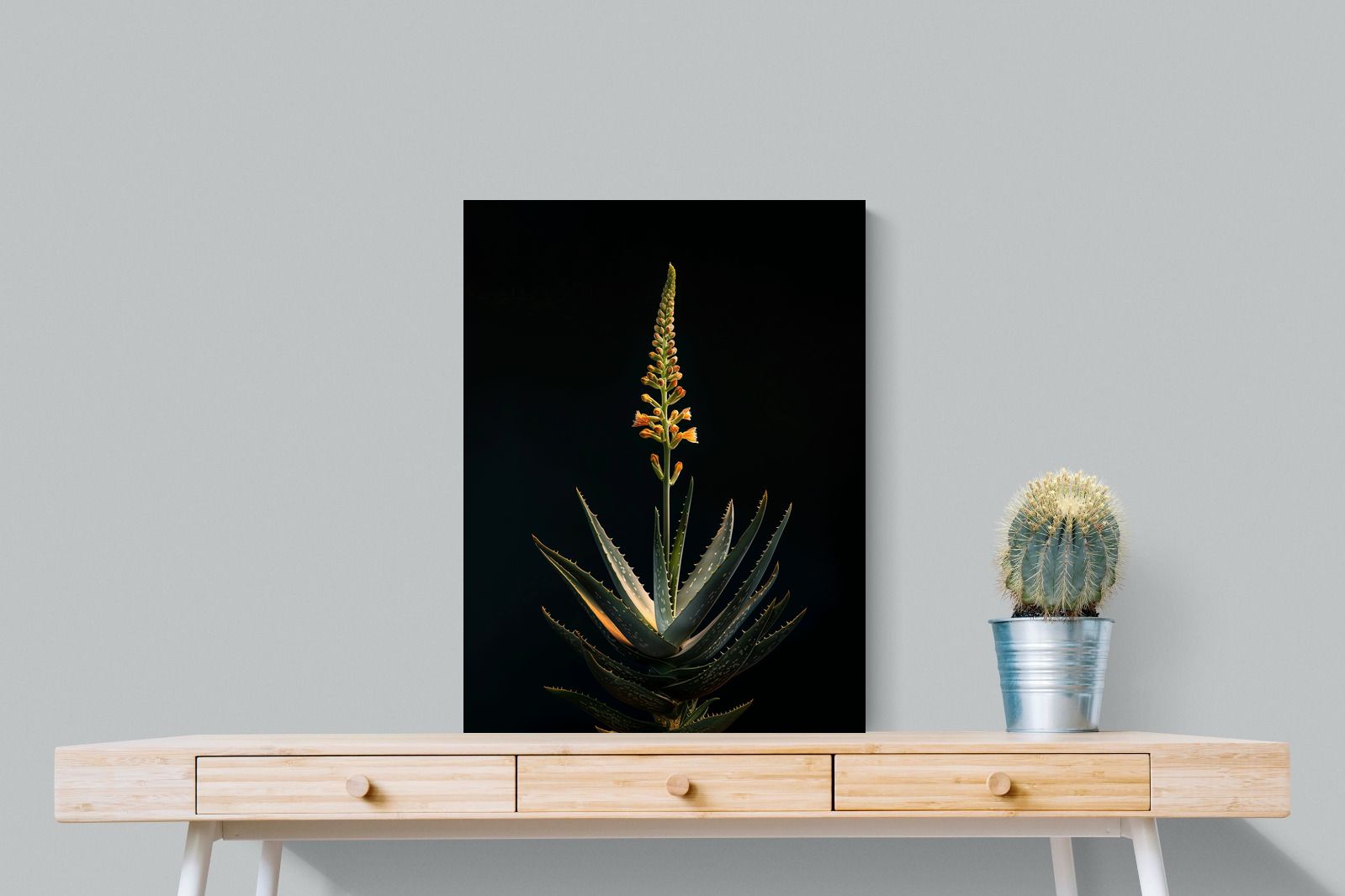 Pixalot Aloe Ascension