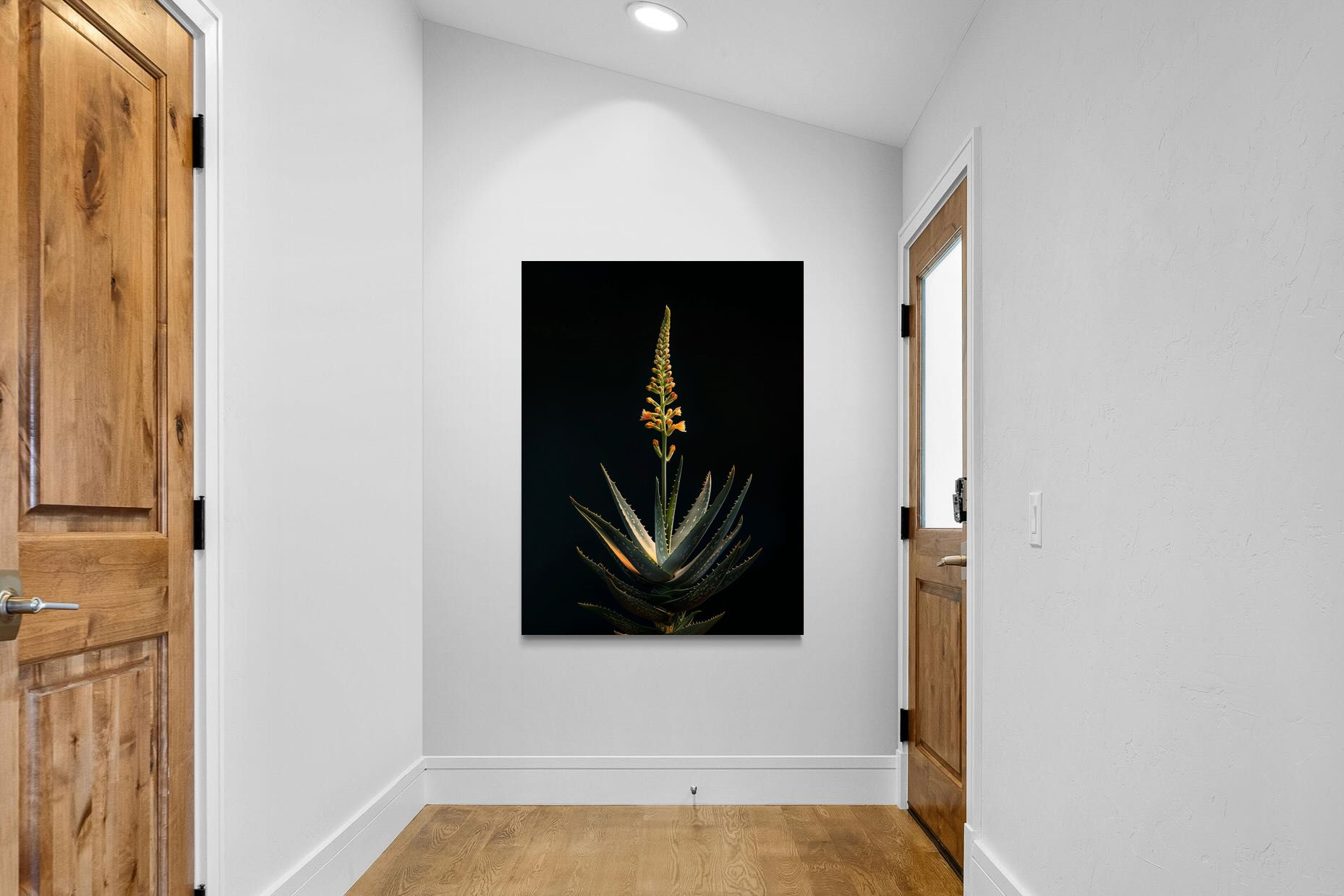 Pixalot Aloe Ascension