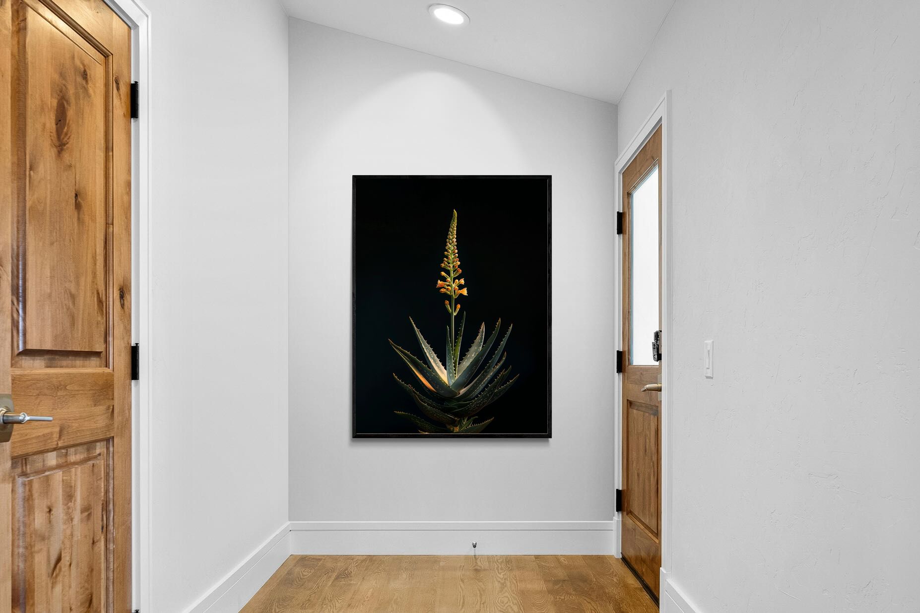 Pixalot Aloe Ascension