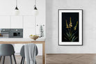 Pixalot Aloe Triad