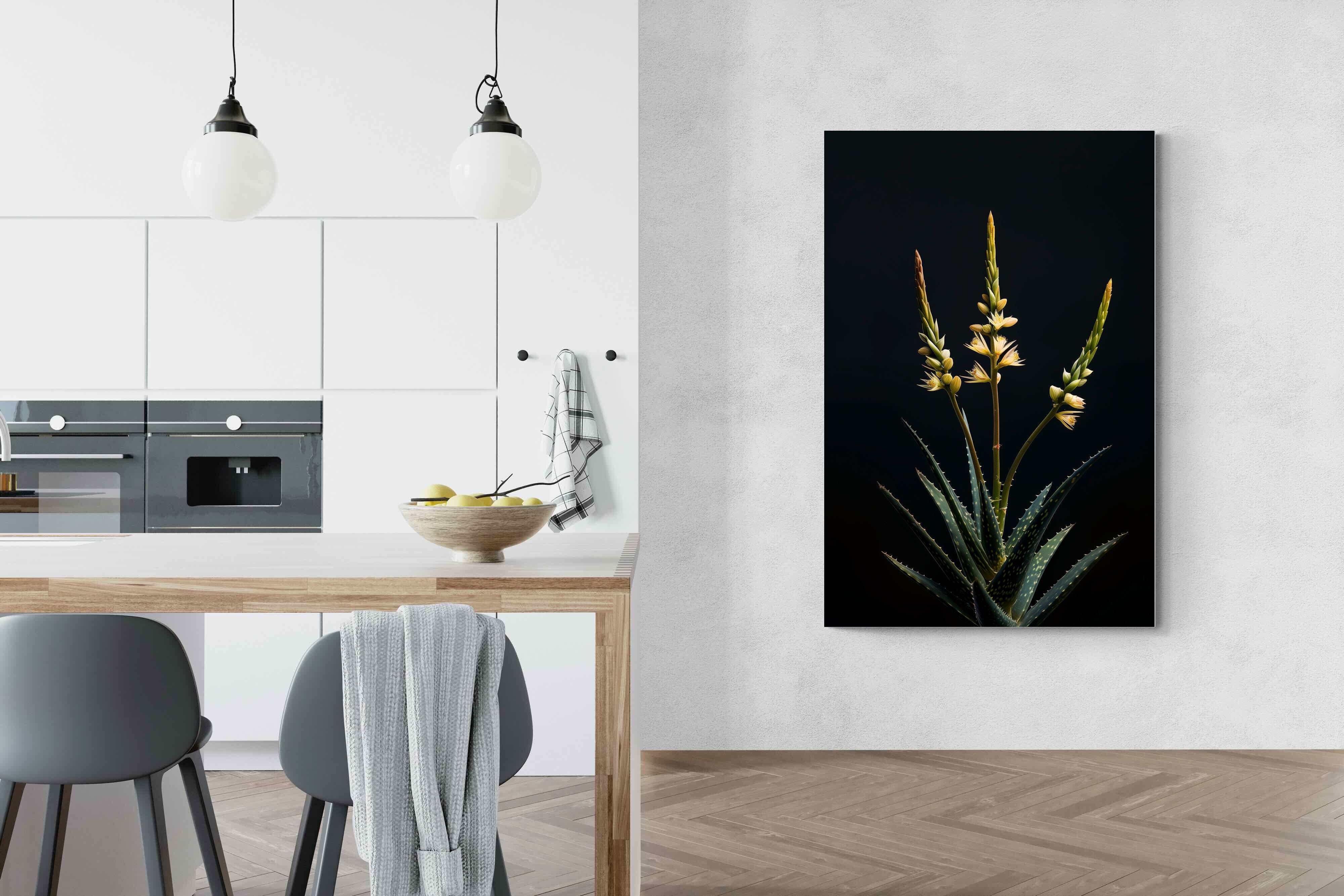 Pixalot Aloe Triad