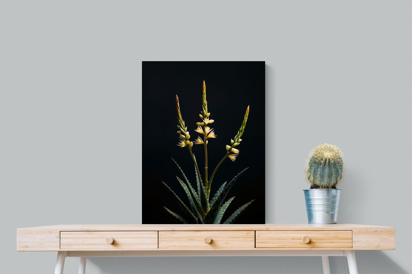Pixalot Aloe Triad
