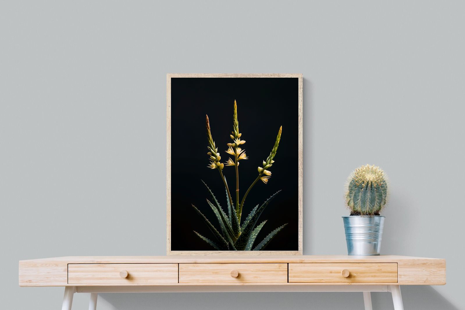 Pixalot Aloe Triad