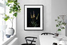 Pixalot Aloe Triad