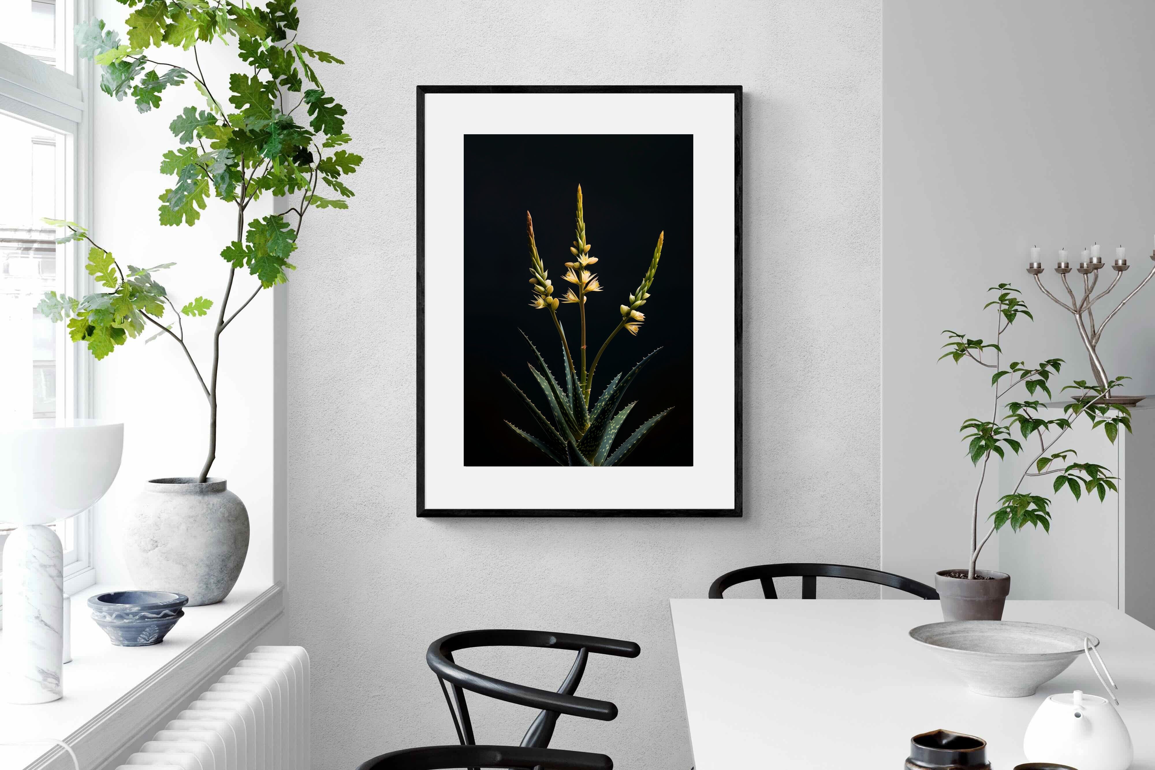 Pixalot Aloe Triad