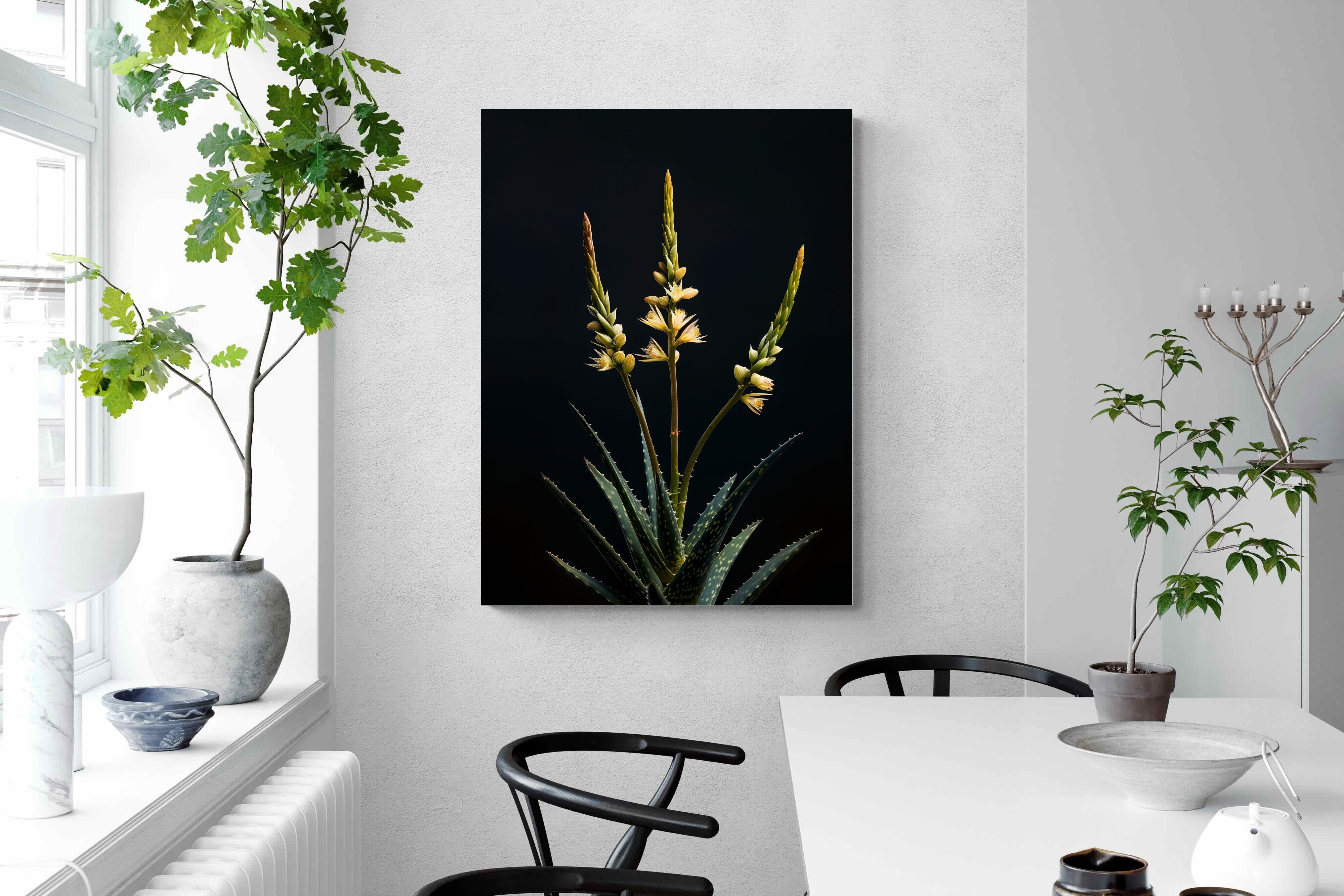 Pixalot Aloe Triad
