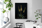 Pixalot Aloe Triad