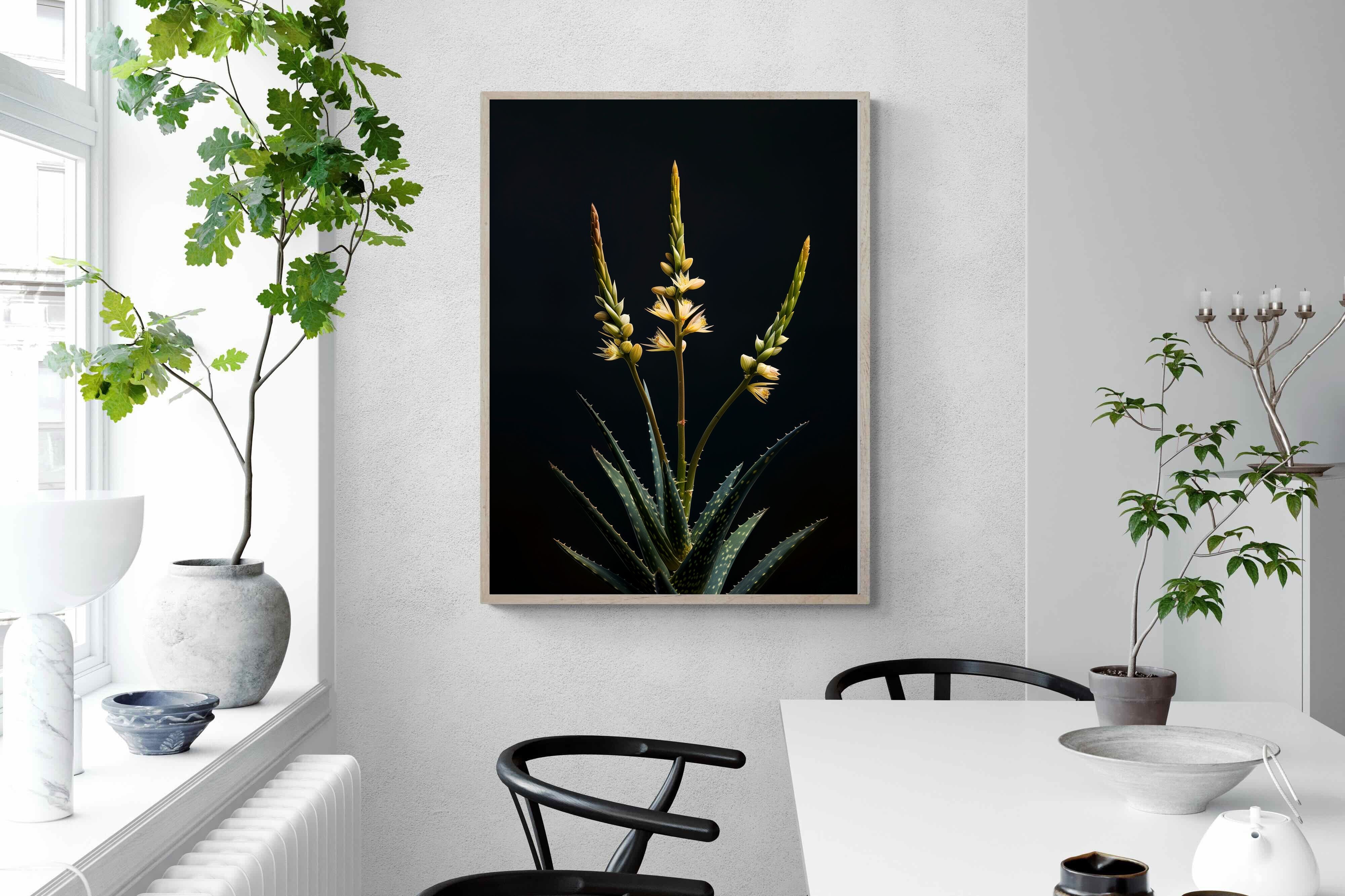 Pixalot Aloe Triad