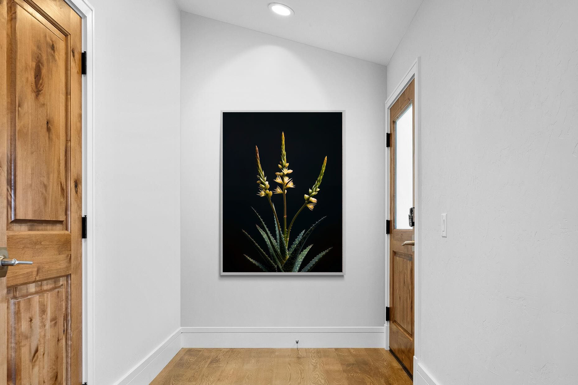 Pixalot Aloe Triad