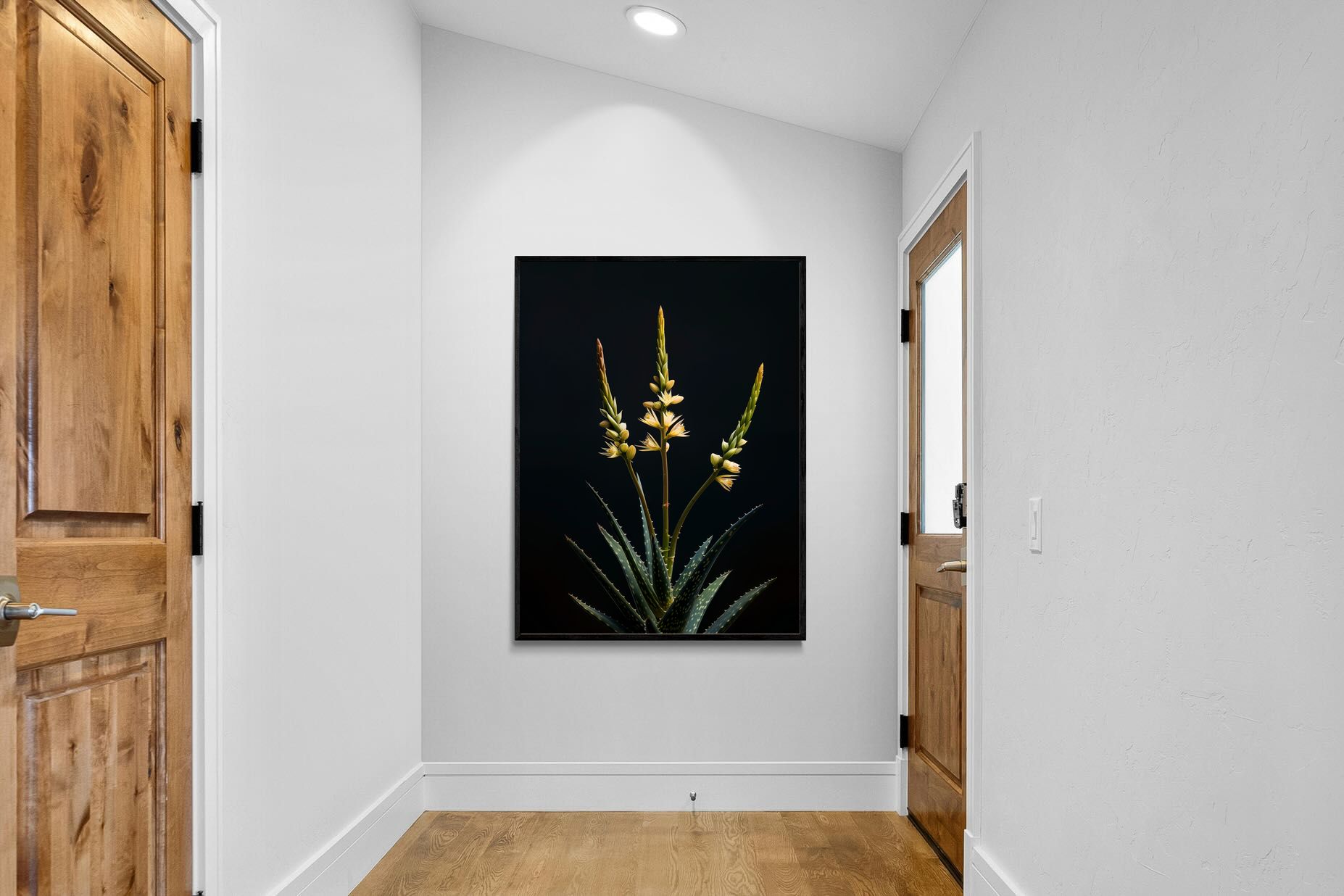 Pixalot Aloe Triad