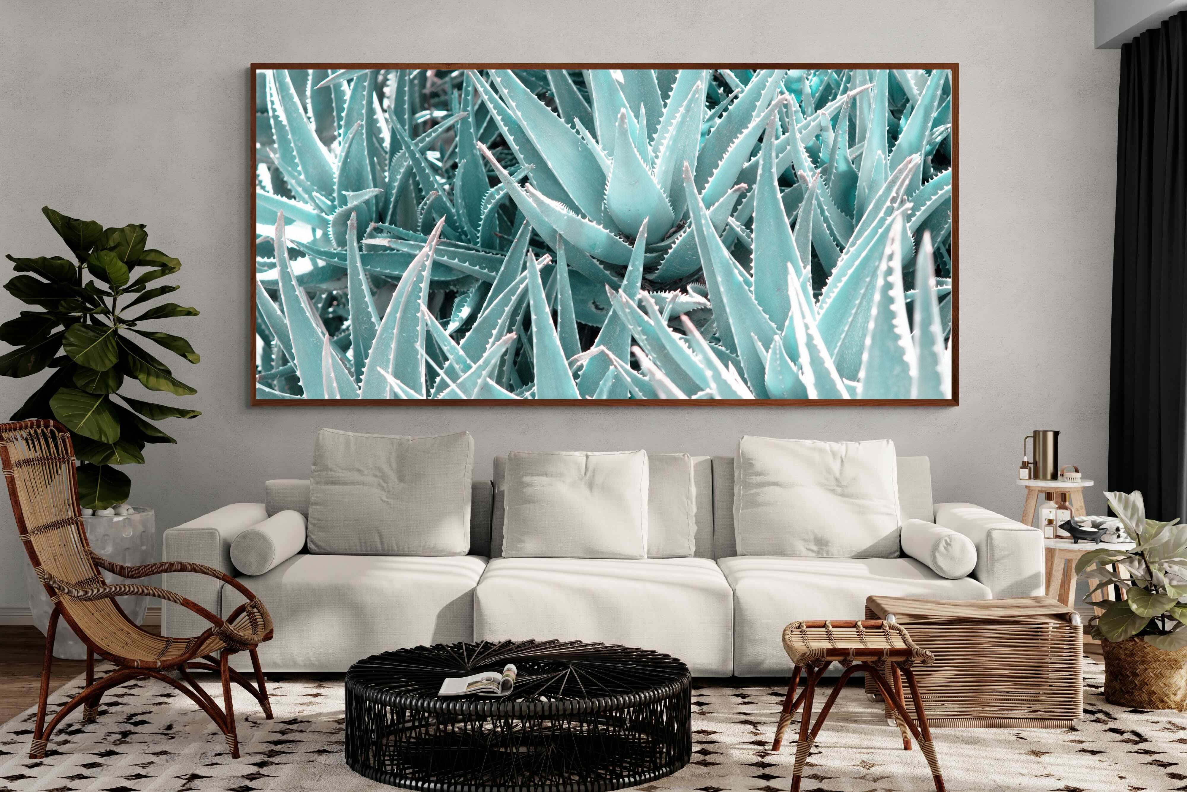 Pixalot ® Aloe Vera Macro