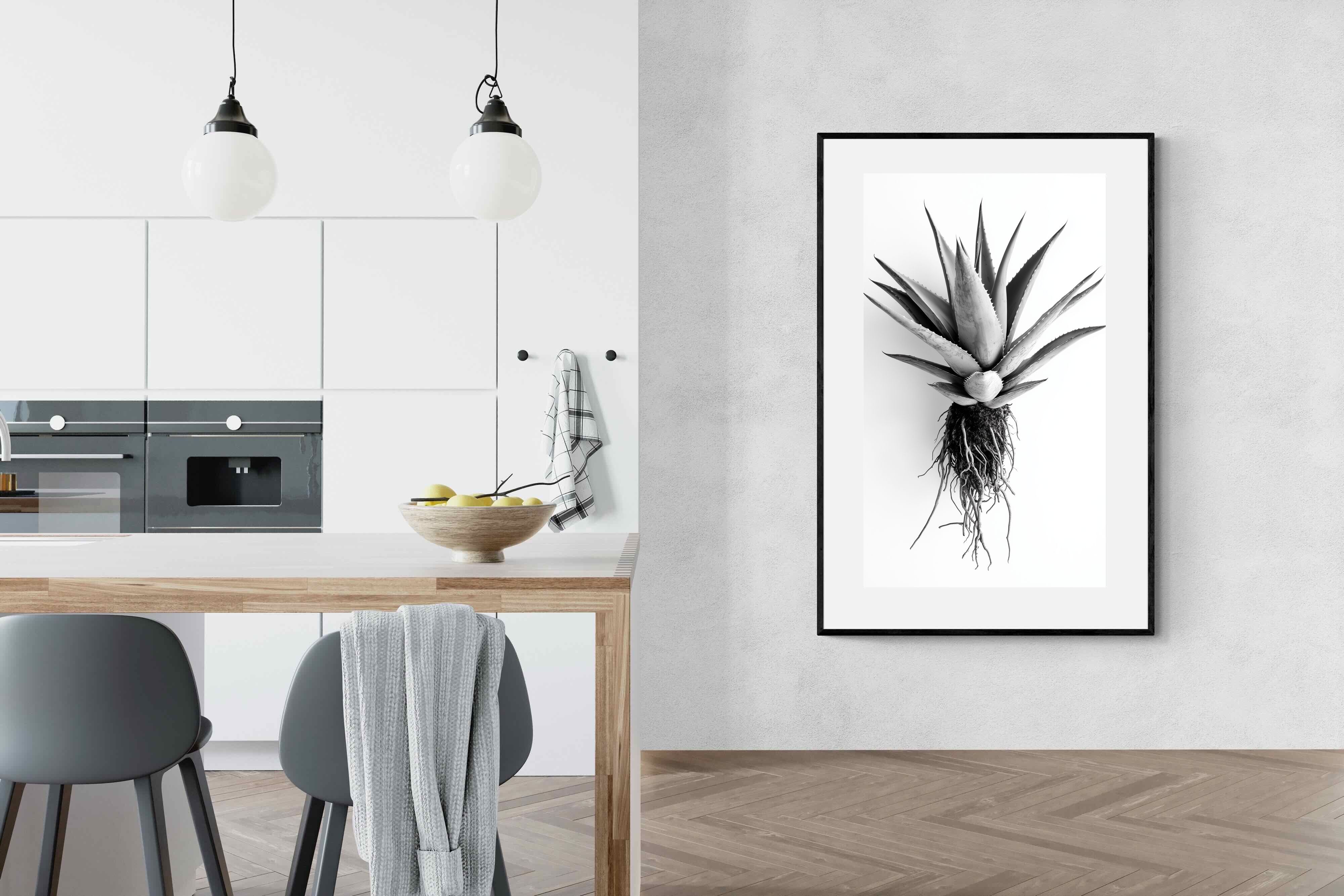 Pixalot Aloe White