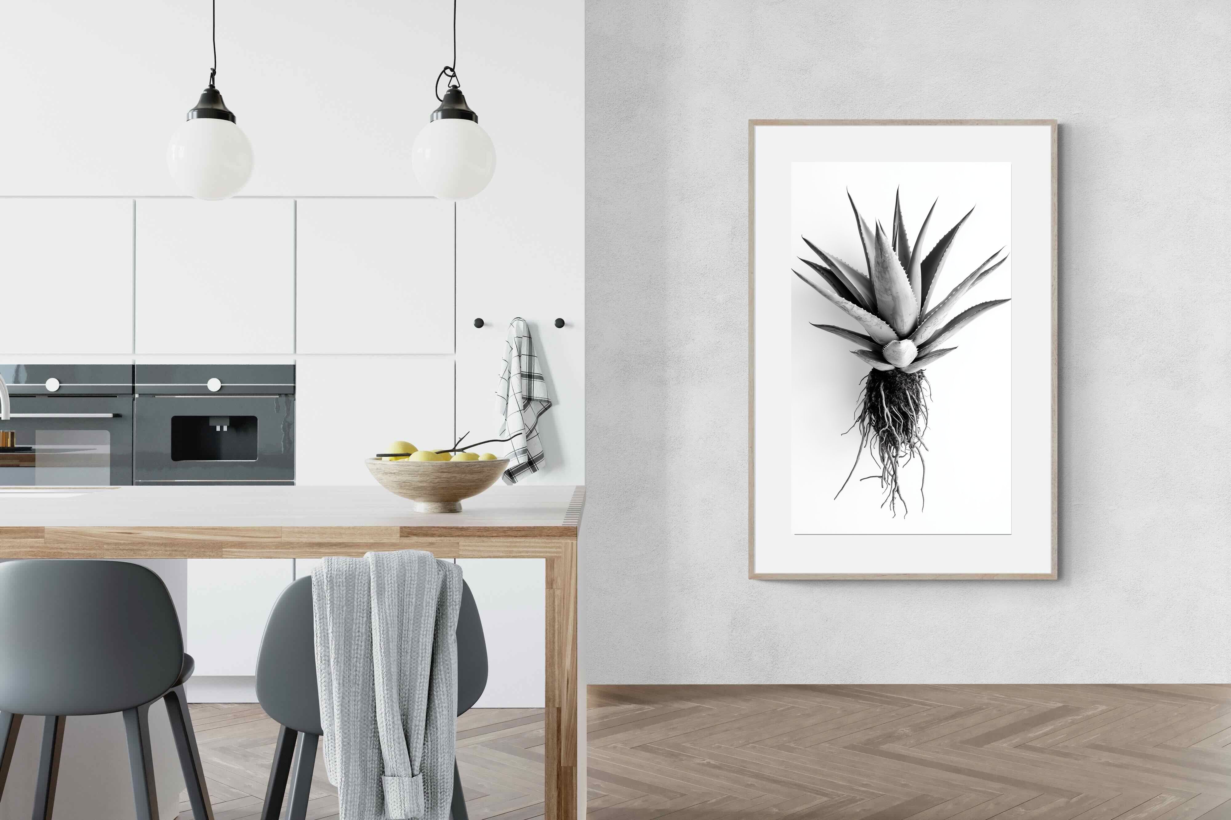 Pixalot Aloe White