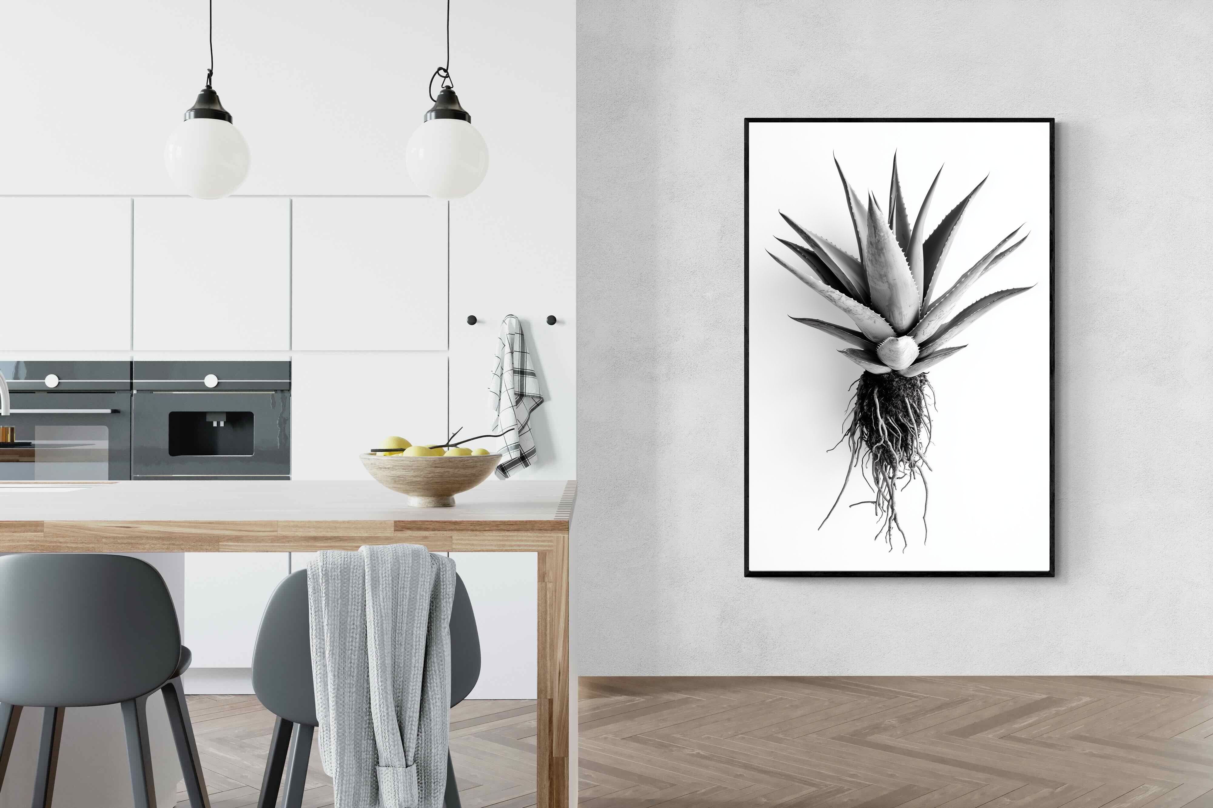 Pixalot Aloe White