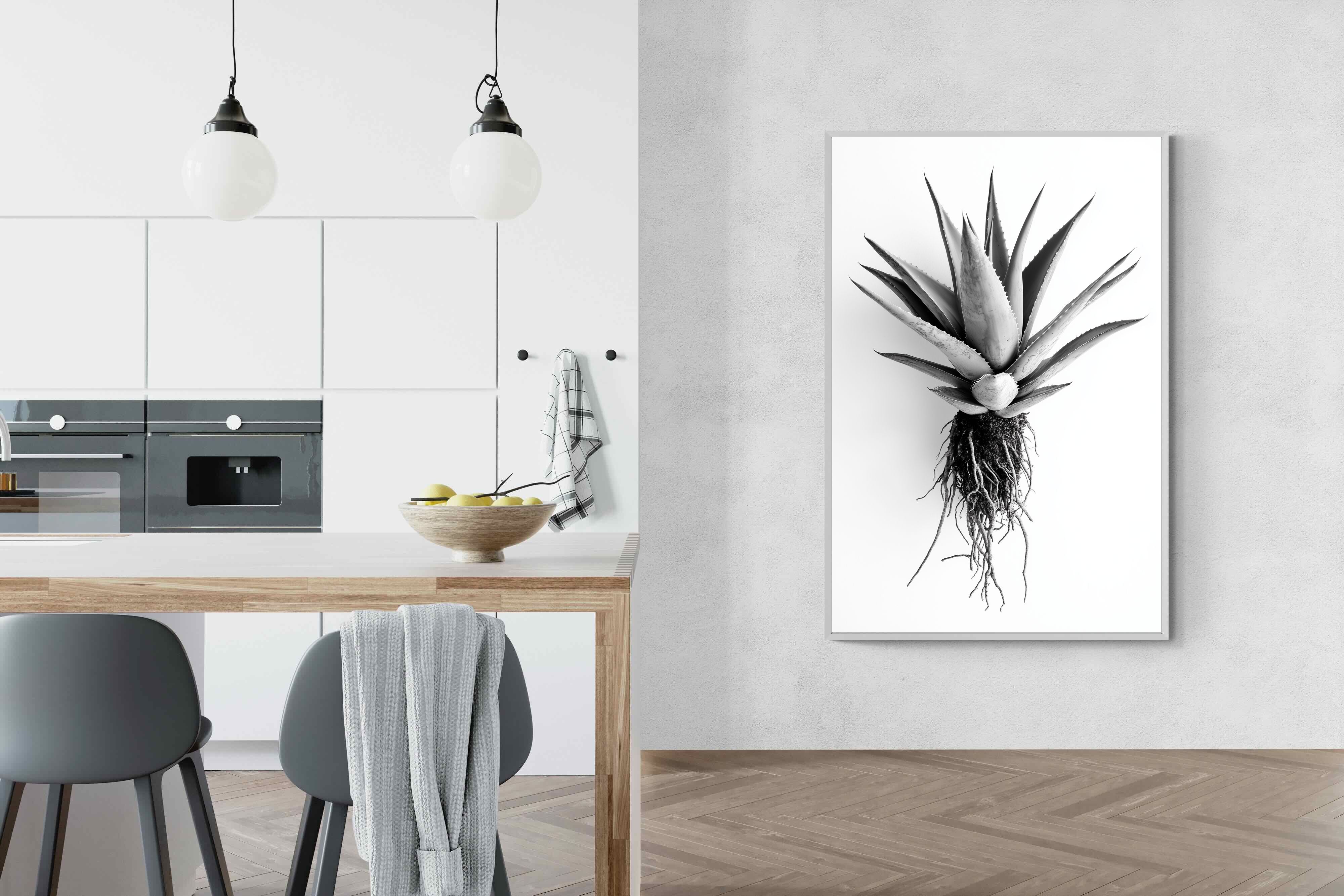 Pixalot Aloe White