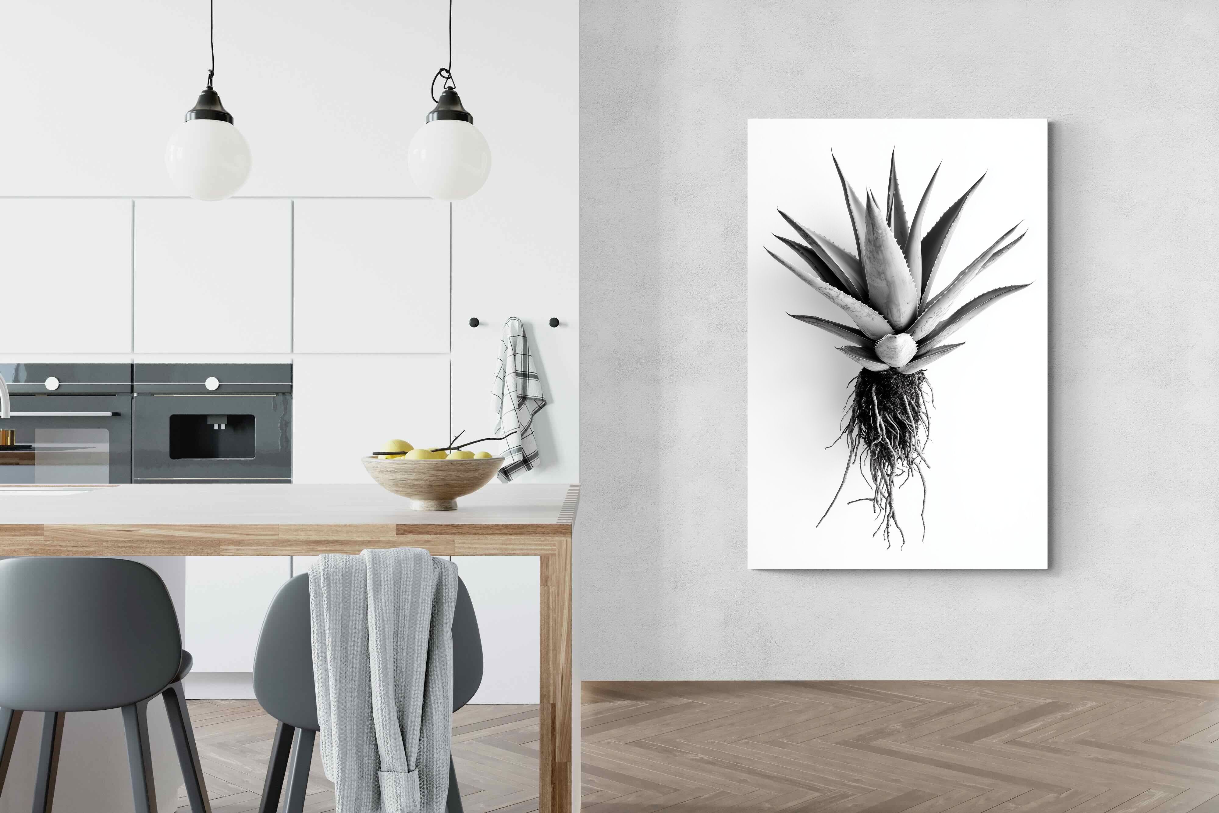 Pixalot Aloe White