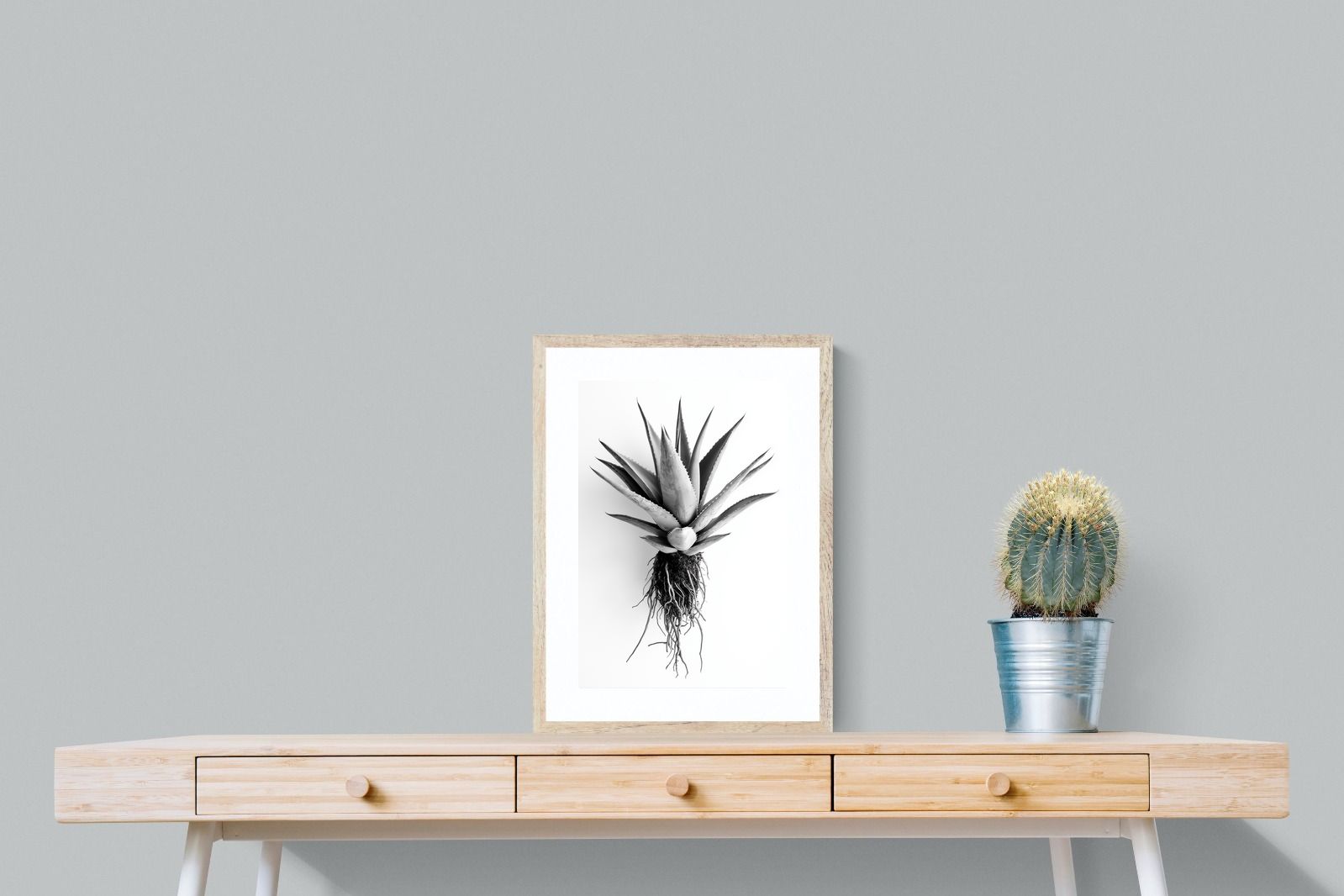 Pixalot Aloe White