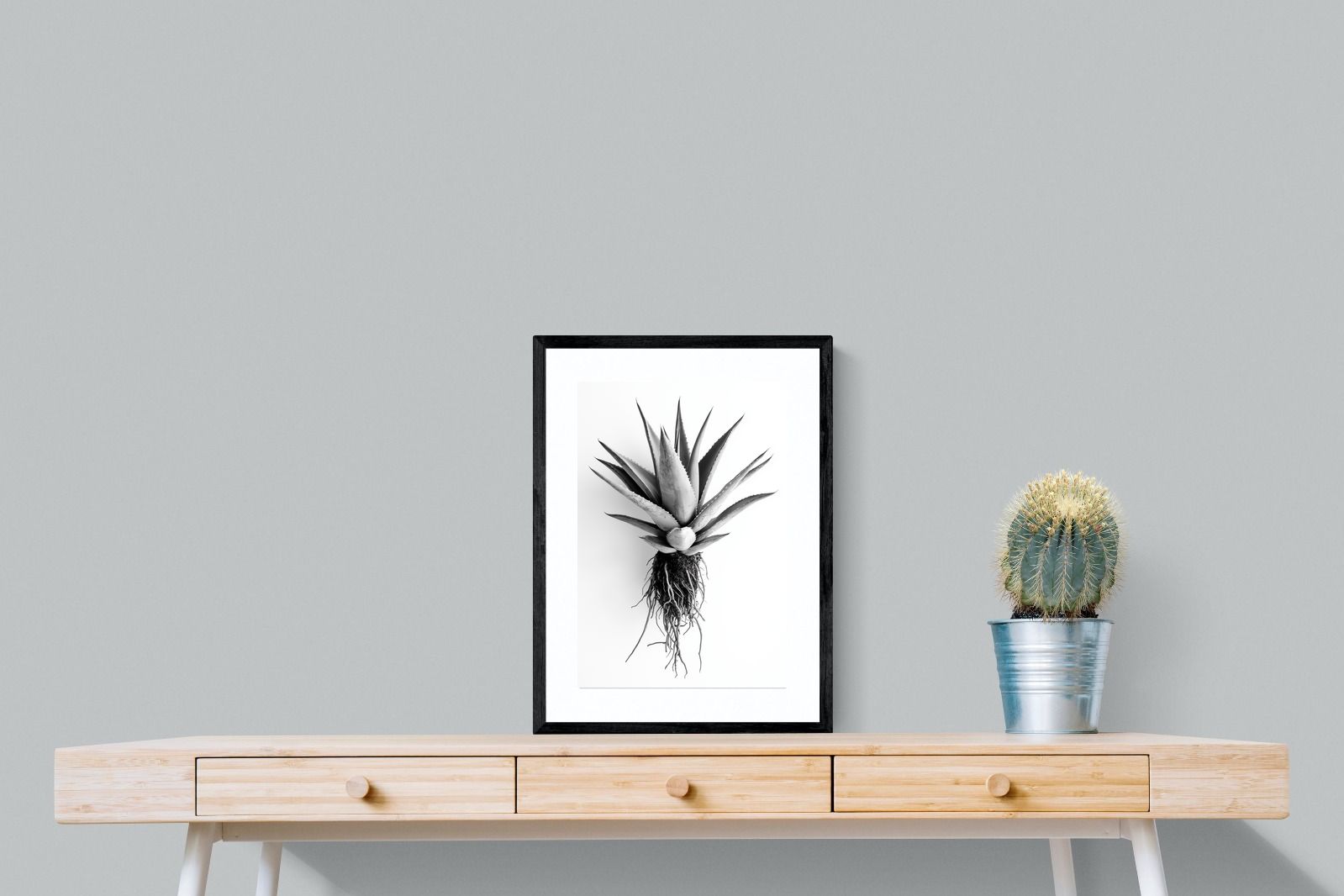 Pixalot Aloe White