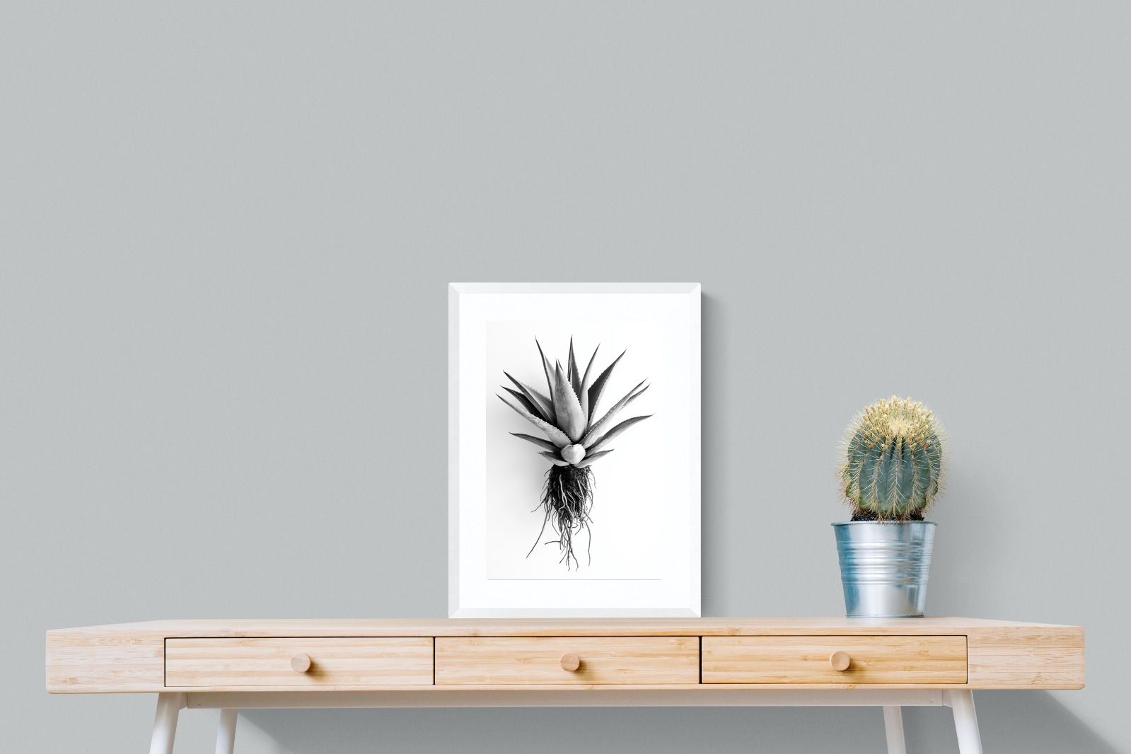 Pixalot Aloe White