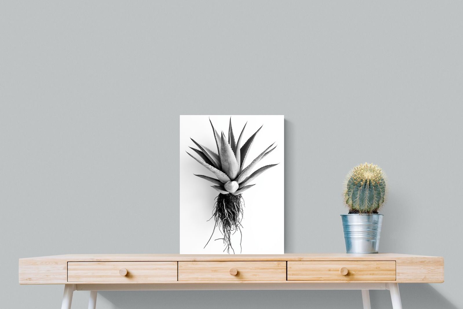 Pixalot Aloe White