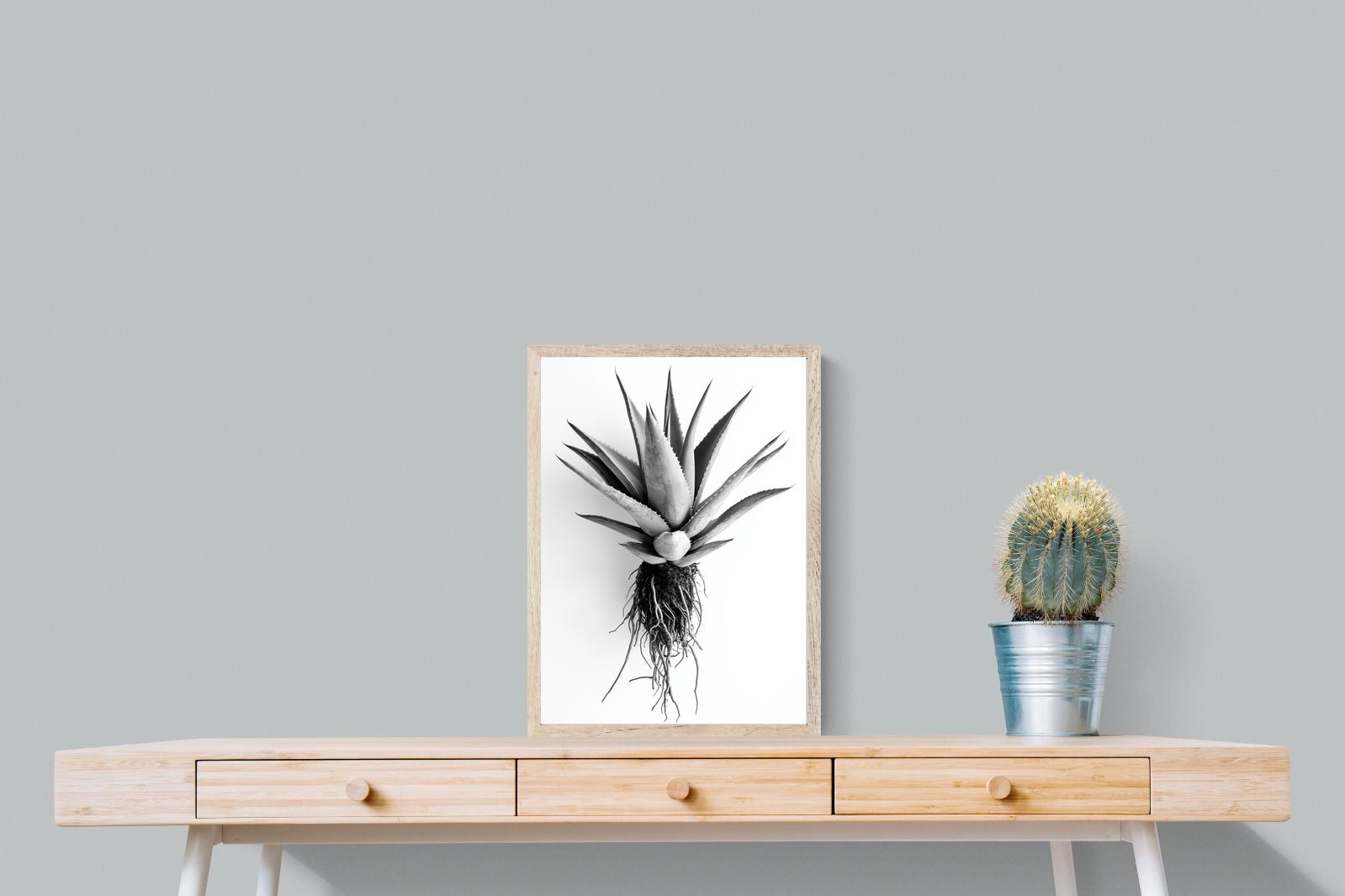 Pixalot Aloe White