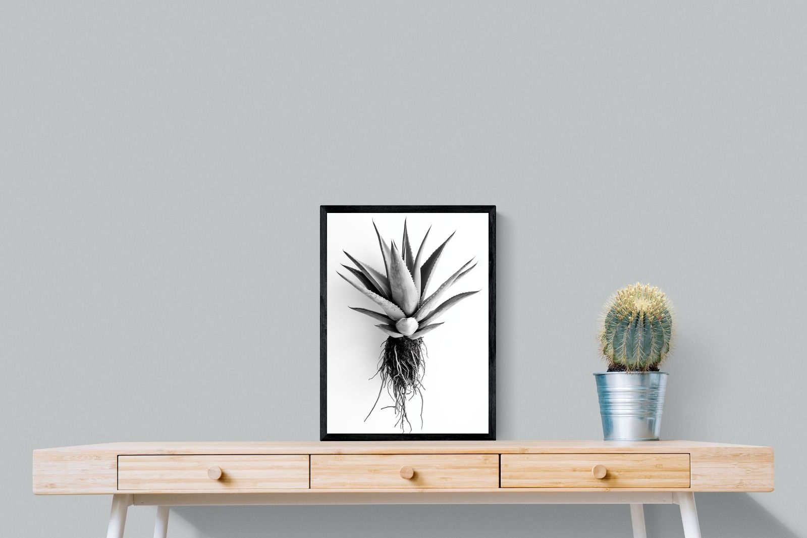 Pixalot Aloe White