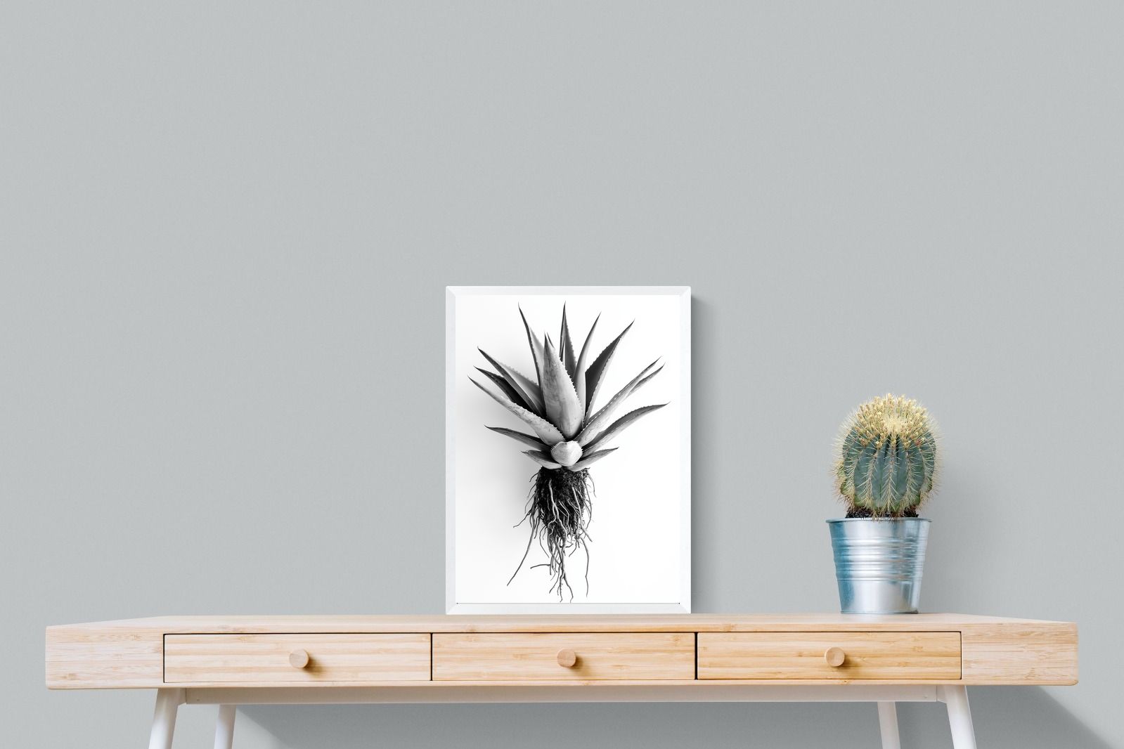Pixalot Aloe White