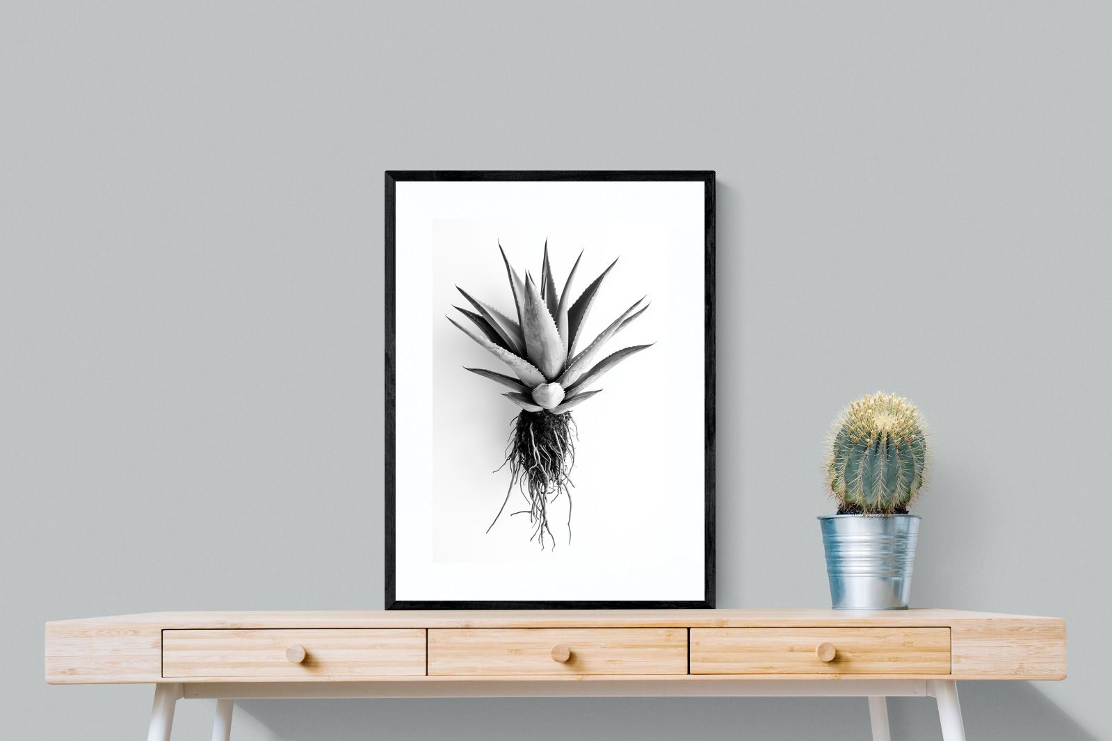Pixalot Aloe White