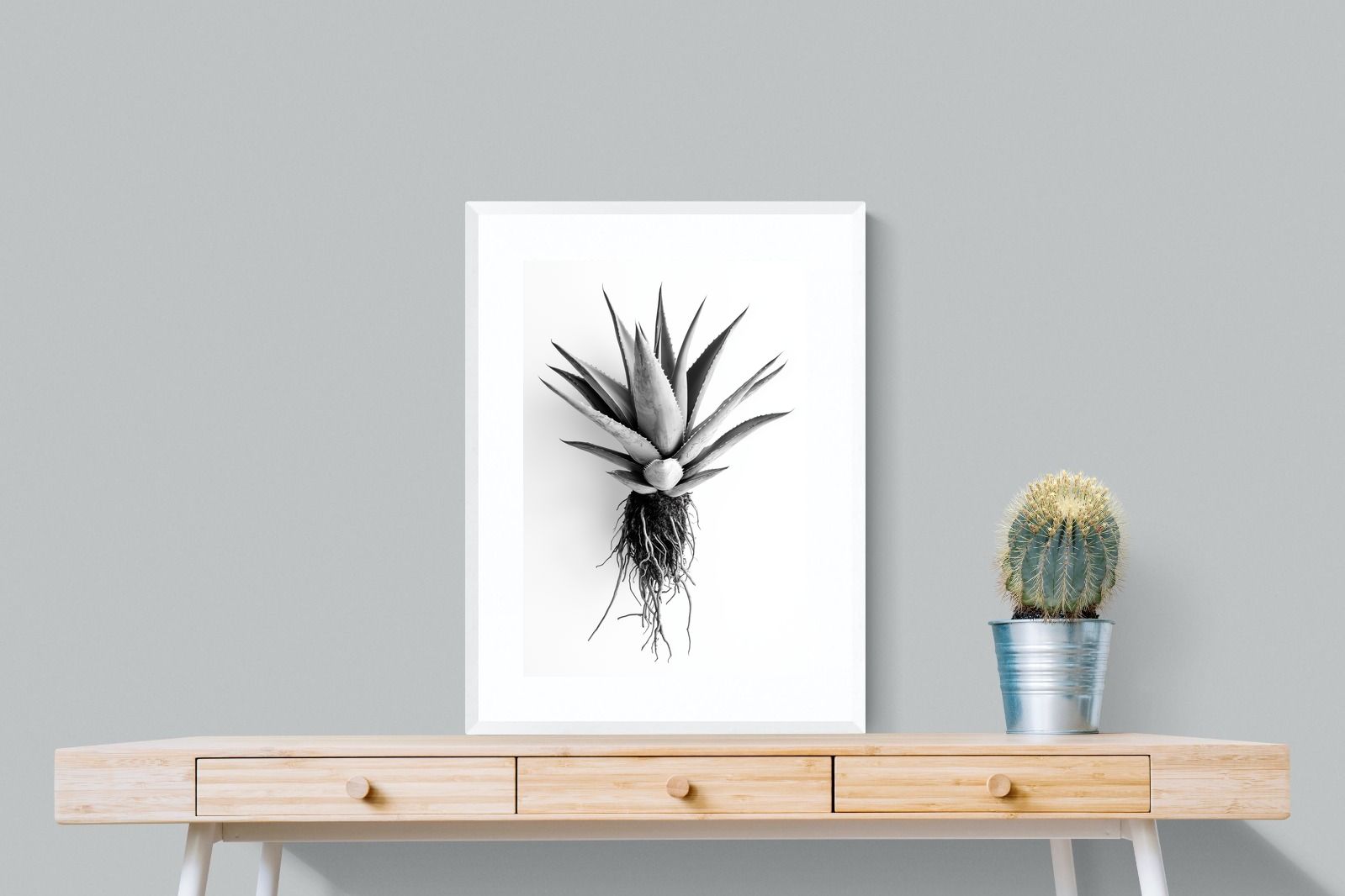 Pixalot Aloe White