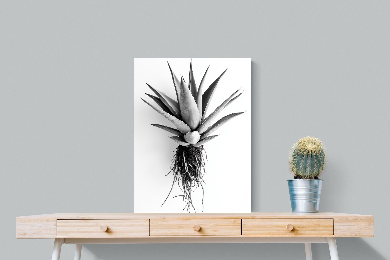 Pixalot Aloe White