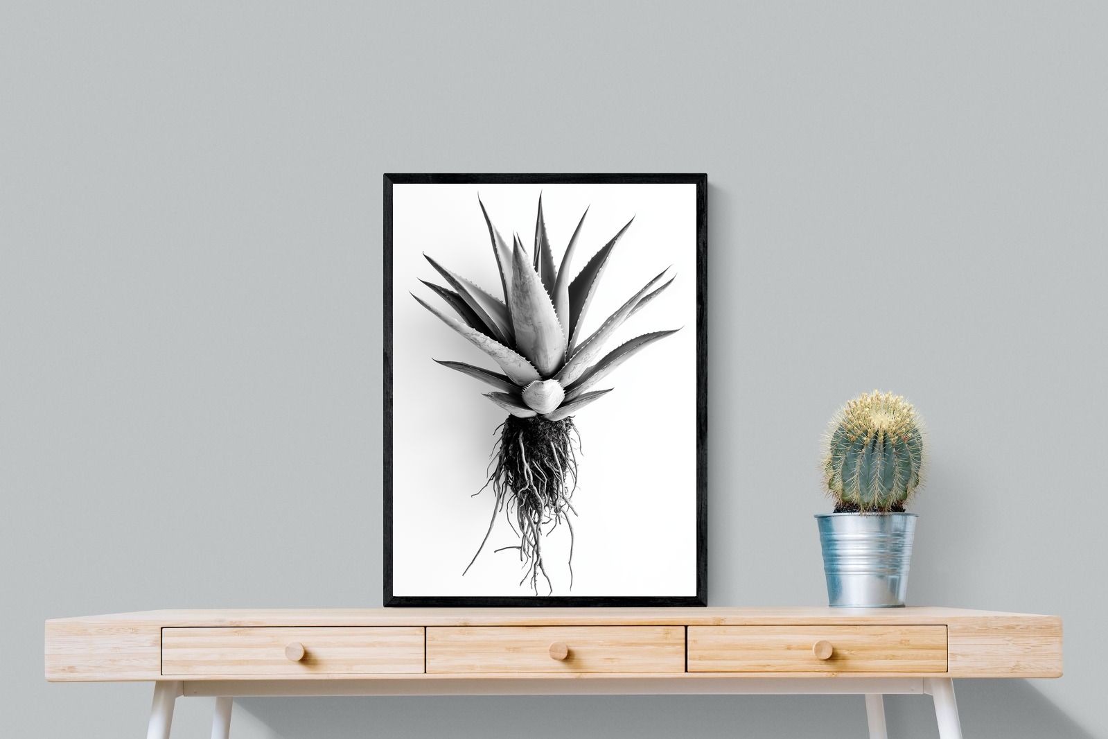 Pixalot Aloe White