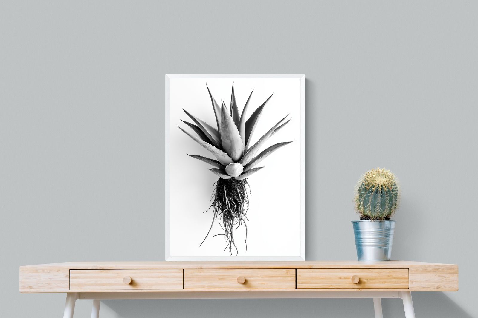 Pixalot Aloe White