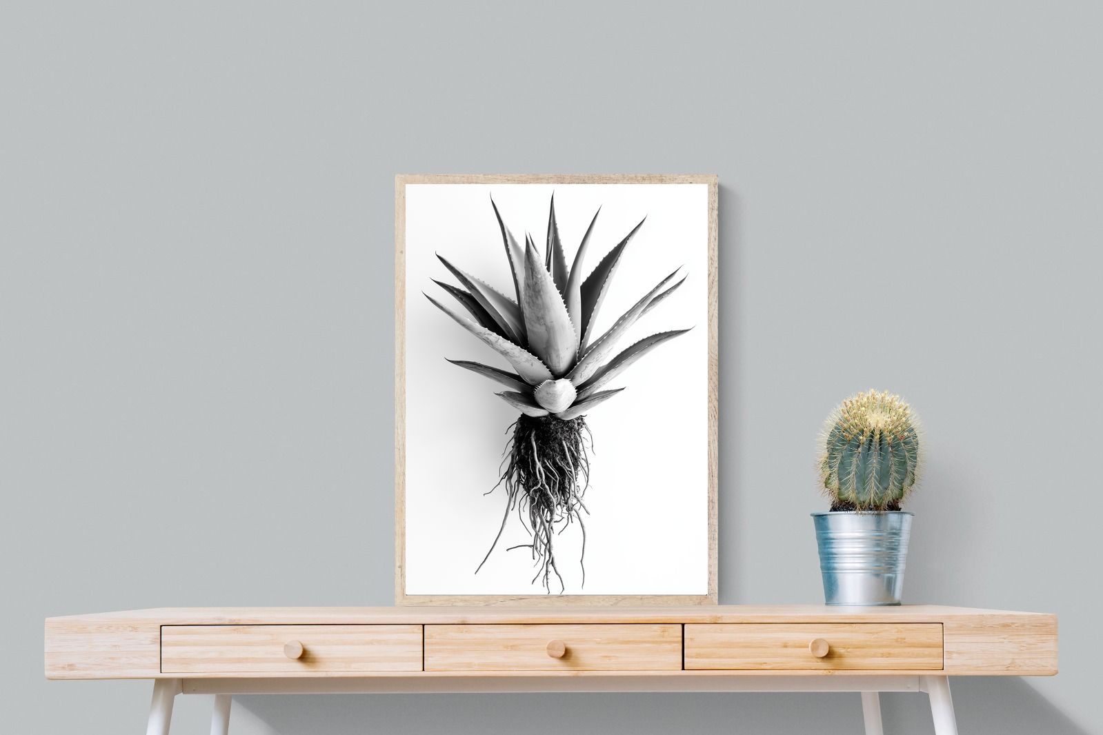 Pixalot Aloe White