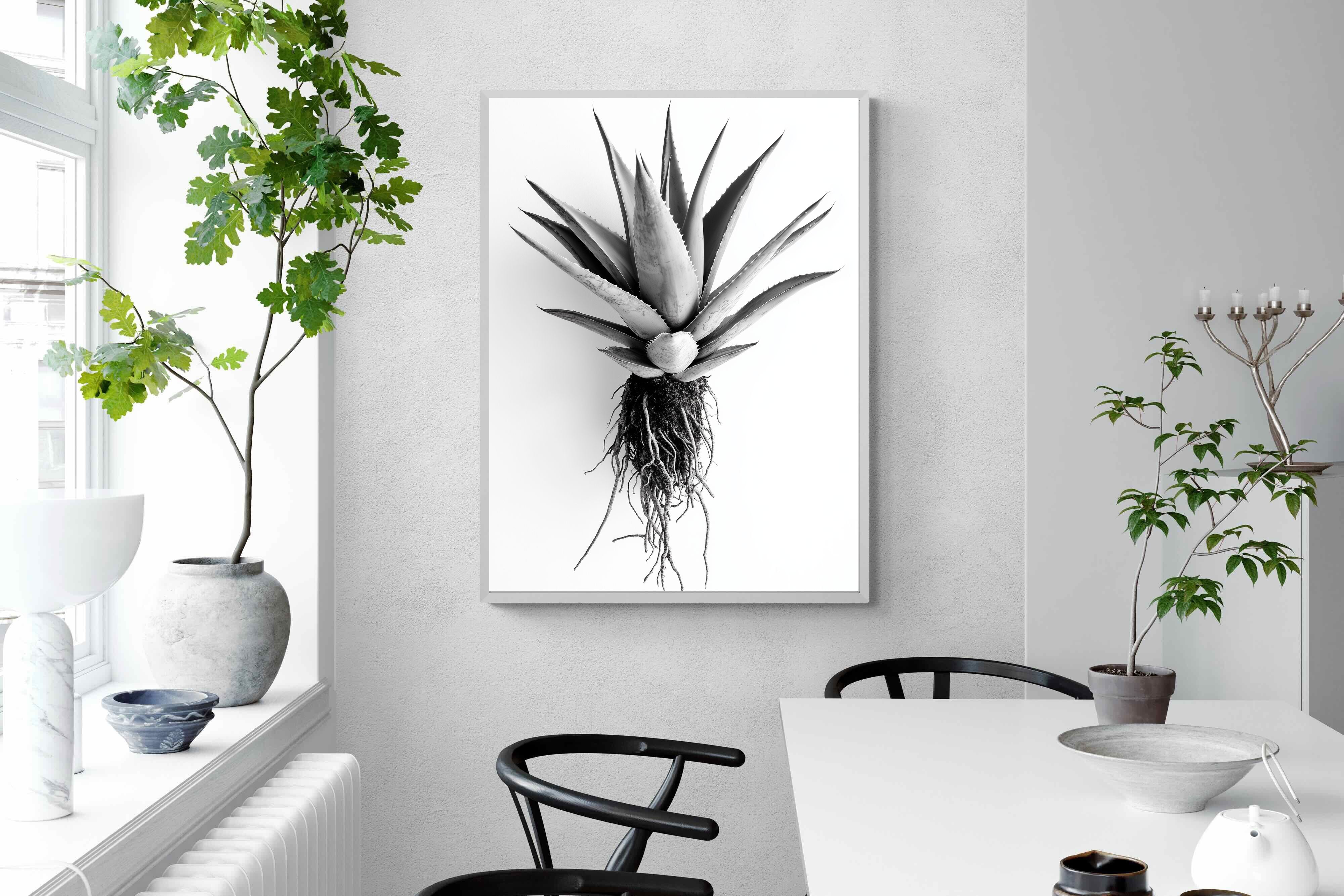Pixalot Aloe White