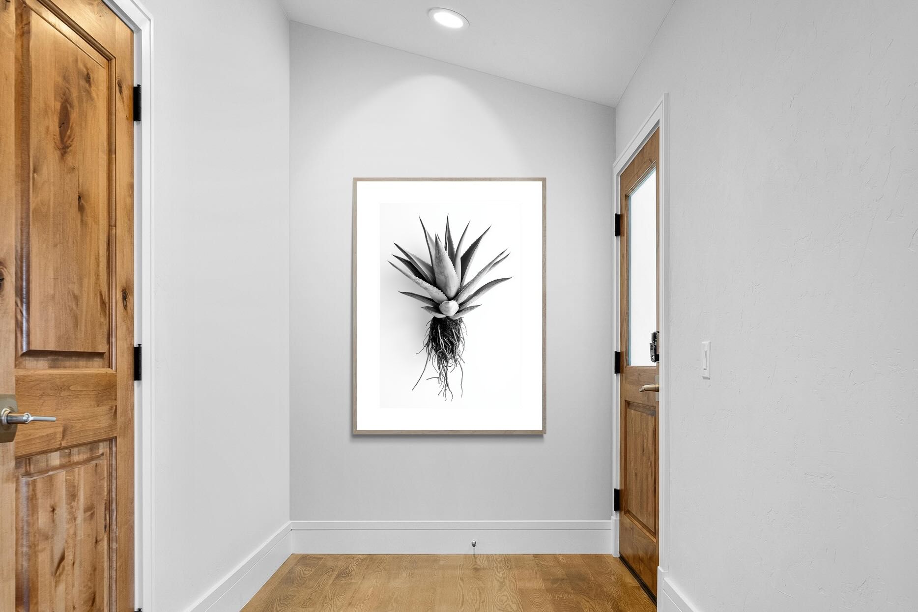 Pixalot Aloe White