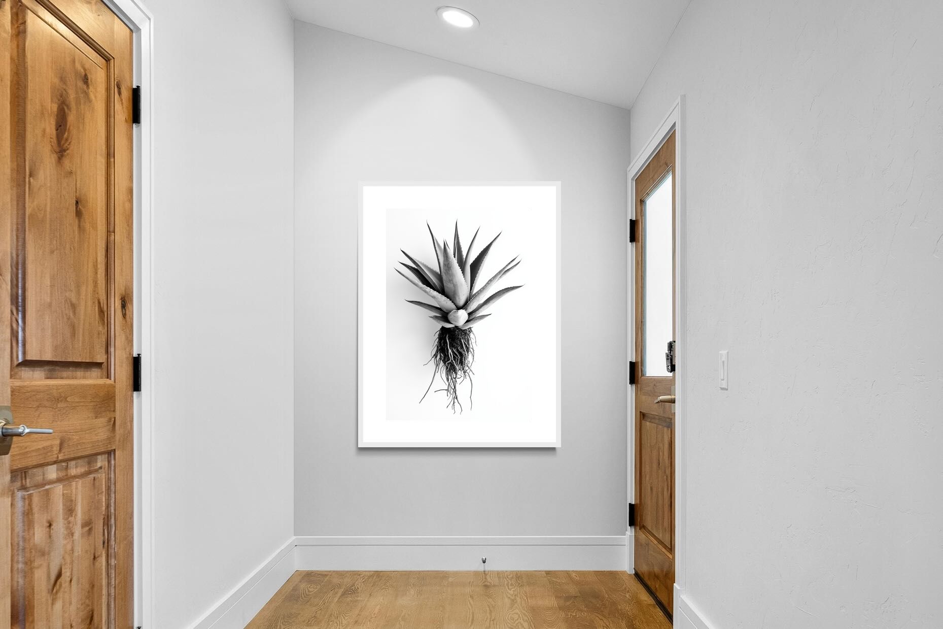 Pixalot Aloe White