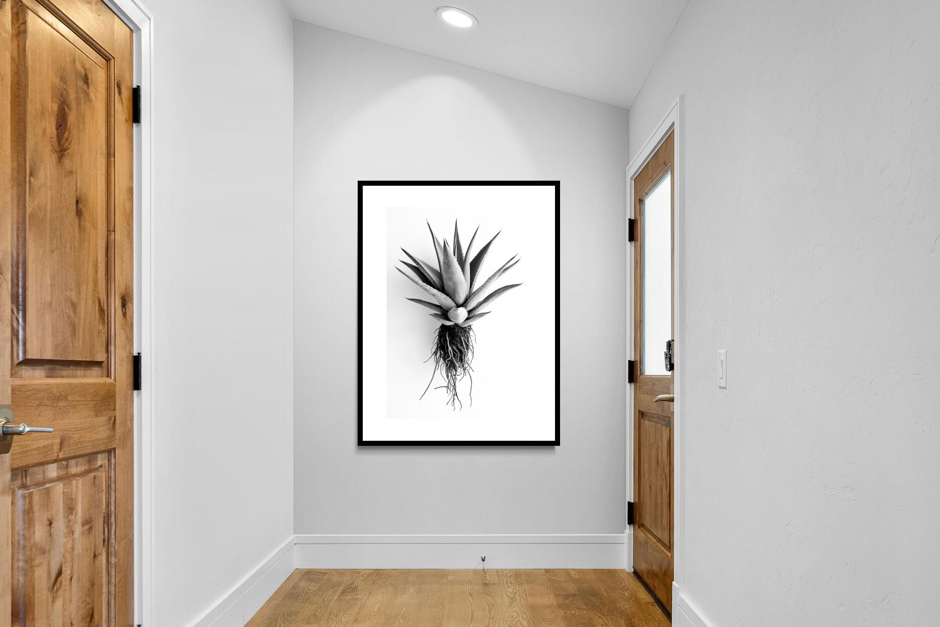 Pixalot Aloe White
