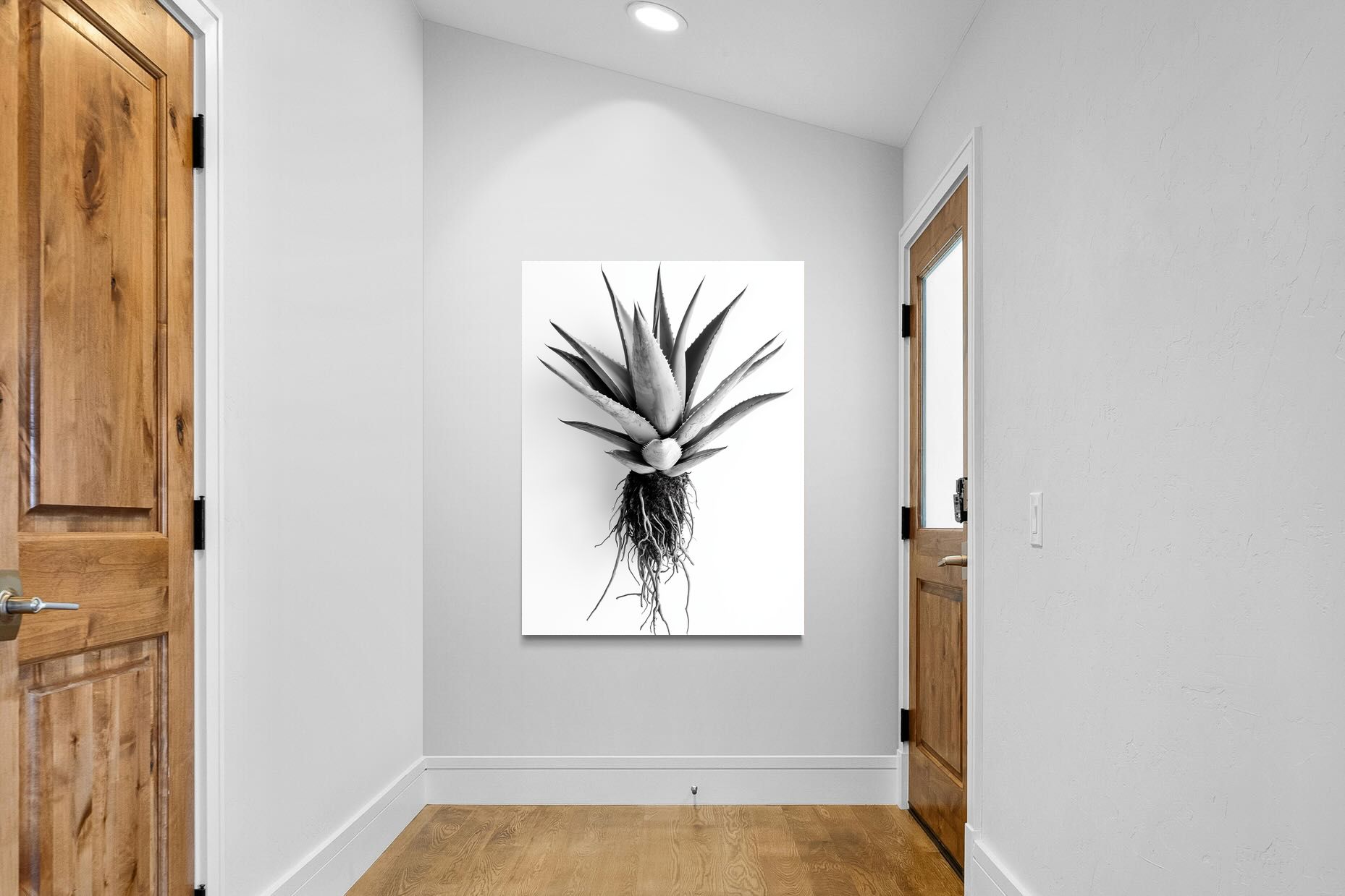 Pixalot Aloe White