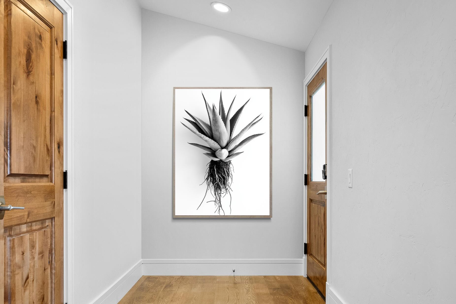 Pixalot Aloe White
