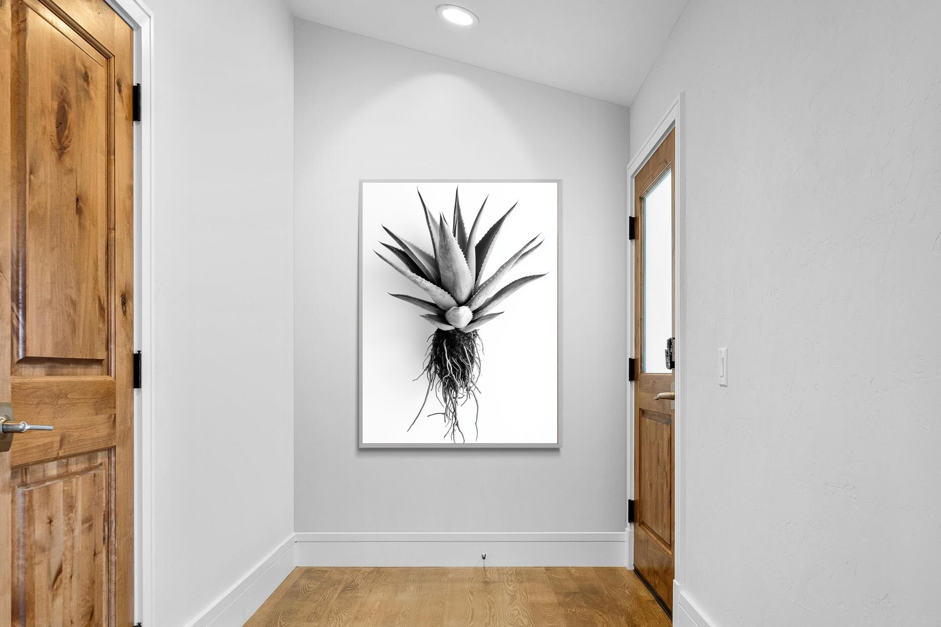 Pixalot Aloe White