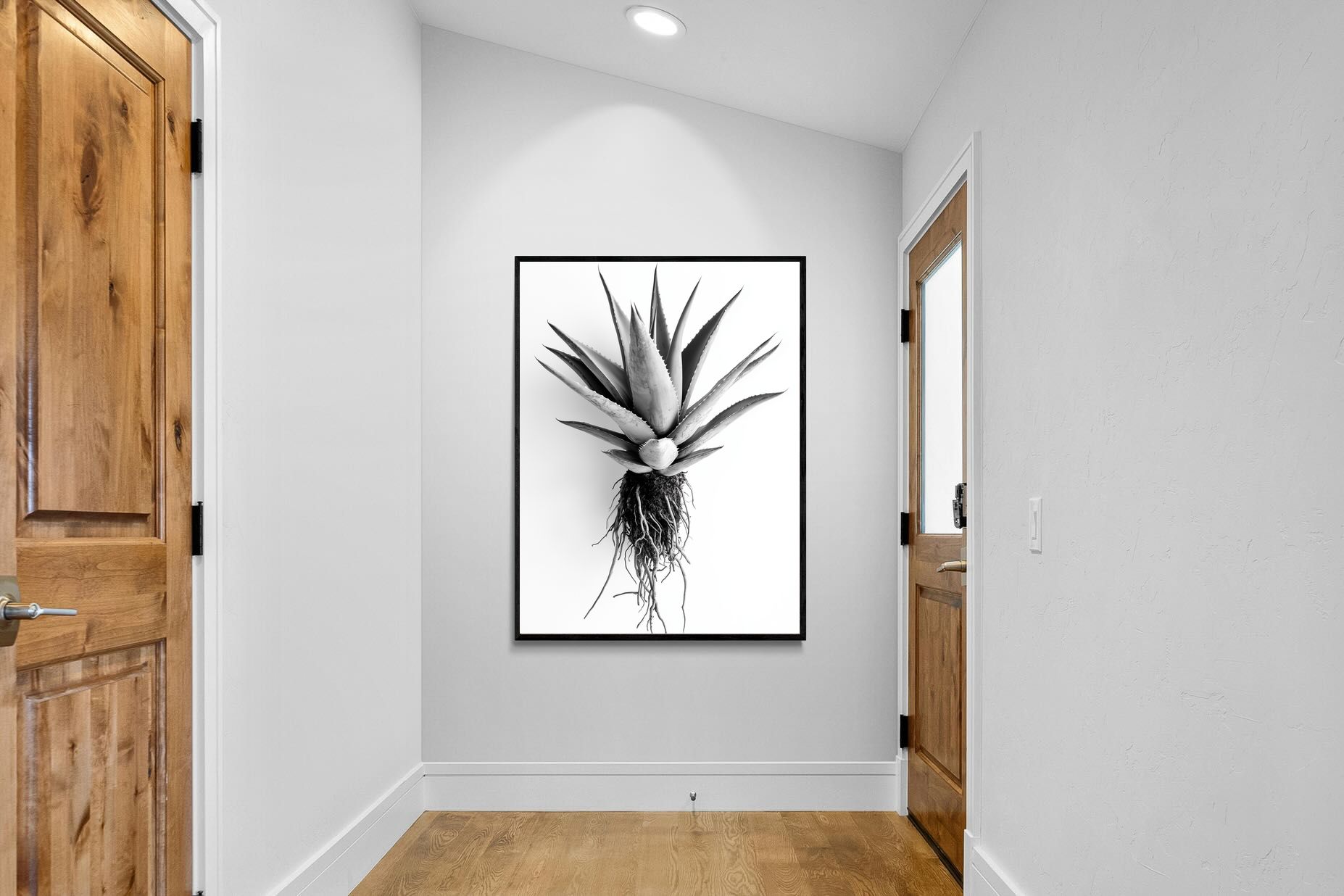 Pixalot Aloe White