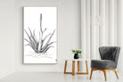Pixalot Aloe with One Flower