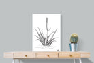 Pixalot Aloe with One Flower