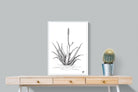 Pixalot Aloe with One Flower