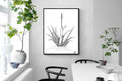 Pixalot Aloe with One Flower