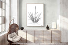 Pixalot Aloe with One Flower