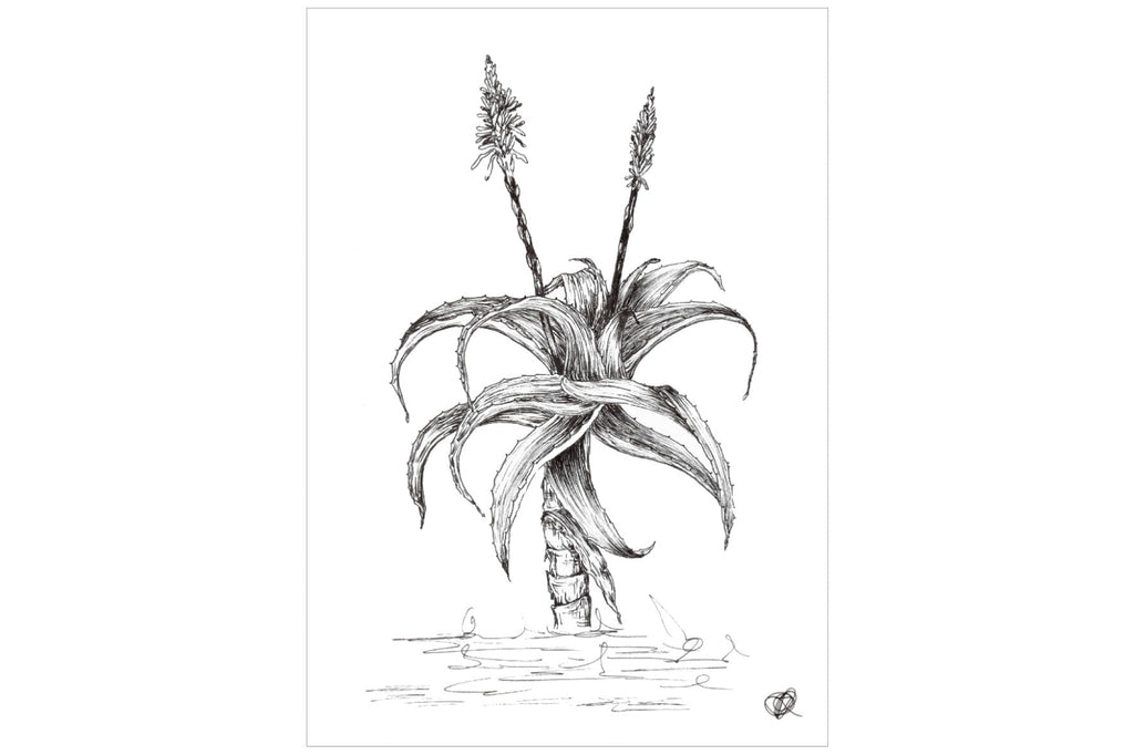 Aloe with Two Flowers-Wall_Art-Pixalot