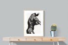 Pixalot Anatomical Study