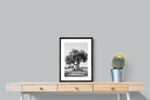 Pixalot Ancient Olive Tree