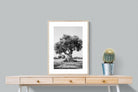 Pixalot Ancient Olive Tree